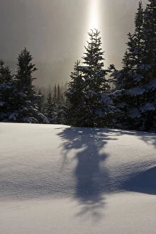Shadow Gallery: Canada, British Columbia, Smithers. A sun