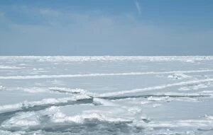 Canada - crevice in ice, harp seal habitat