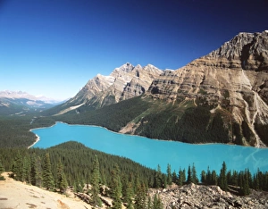 <b class=qtipBold><figcaption>CANADA - Lake Peyto</figcaption></b><br>FG-10034 CANADA - Lake Peyto Banff National Park, Alberta Francois Gohier Please note that prints are for personal display purposes only and may not be reproduced in any way.<br><em>© Ardea 2007 - All Rights Reserved</em> CANADA - Lake Peyto