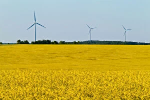 Canada, Manitoba, Somerset. Wind turbines