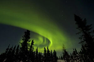 Borealis Gallery: Canada, Manitoba. View of aurora borealis