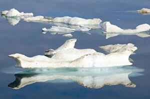 Canada, Nunavut. Ice floes cruising Foxe