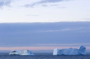 Canada, Nunavut. Icebergs at sunset in Davis