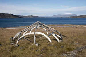 Bone Gallery: Canada, Nunavut, Kekerten Island. Kekerten