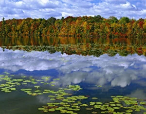 Canada, Ontario. Autumn-colored trees reflect