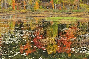 Canada, Ontario, Minden. Reflection of autumn-colored