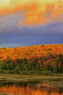 Canada, Ontario, Oxtongue Lake. Colorful