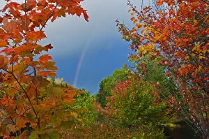 Canada, Ontario, Oxtongue Lake. Rainbow