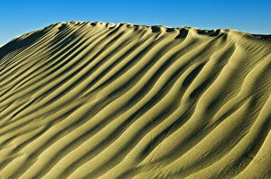 Dune Gallery: Canada, Saskatchewan, Great Sand Hills