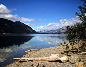 Canada, Yukon Territory. Teslin Lake along