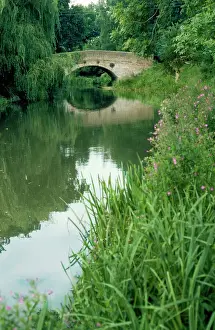 Bridge Prints: Canal - Basingstoke canal Winchfield, Hampshire, UK