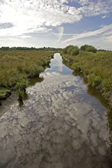 Canals Prints: Canal in marshy wetlands Parc Naturel de Briere Brittany France