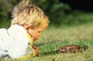 Bufo Gallery: Cane TOAD - face to face with child