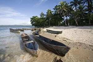 Canoes and Coconut Palms