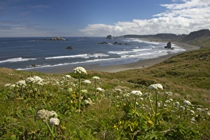 Images Dated 3rd May 2006: Cape Blanco Oregon Coast USA LA000864