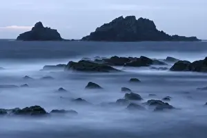 Evening Prints: Cape Cornwall at low tide with high tide coming in Cape Cornwall, Cornwall, England, UK