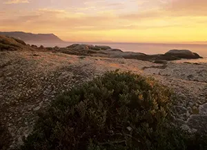Inspiration Prints: Cape Peninsula rocky coastline near Boulder's Beach at sunrise with table mountain in background Boulder's