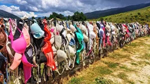 Pacific Prints: The Cardrona Bra Fence (Bradrona) supporting breast cancer