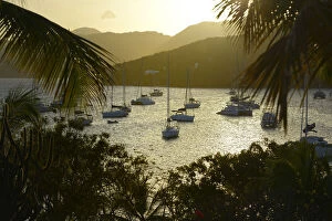 Images Dated 26th March 2014: Caribbean, British Virgin Islands, Marina