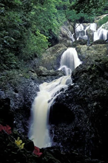Caribbean, Tobago. Argyle Falls