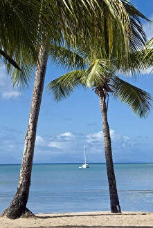 Images Dated 4th December 2012: Carlisle Bay beach, Antigua, West Indies