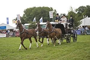 Images Dated 1st September 2007: Carriage driving demonstration in main ring Moreton