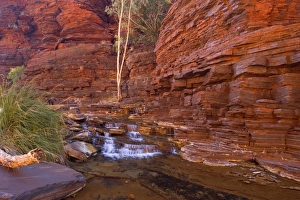 Images Dated 21st July 2008: Cascades in Kalamina Gorge - picturesque cascades in Kalamina Gorge, surrounded by steep