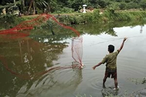 Cast Net Fisherman fishing in drainage canal