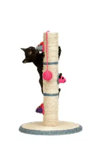 Ginger Prints: Cat - black kitten on activity play centre / scratch post