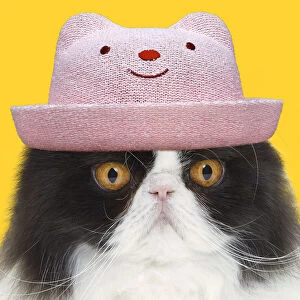 Images Dated 19th April 2021: Cat - Black & White Persian wearing pink smiling hat Date: 04-10-2013