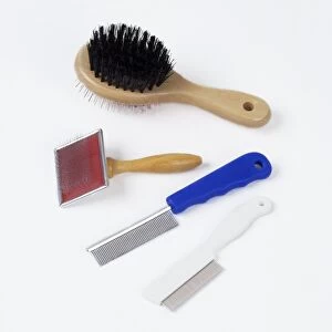 Brushes Gallery: Cat - Brushes & Combs for grooming Cat - Brushes & Combs for grooming