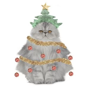 Cat Christmas tree with tinsel baubles and a star