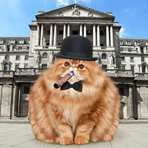 Bowler Gallery: Cat - fat cat with bowler hat bow tie & cigar outside Cat - fat cat with bowler hat bow tie &