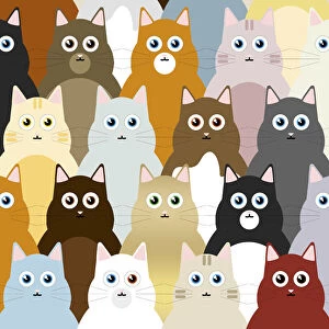 Images Dated 17th March 2020: Cat illustration, repeating pattern Date: 02-Mar-20