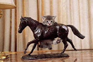 CAT - Kitten falling off horse ornament