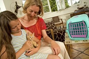 Cat - kitten being held by girl having arrived at new home