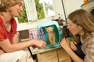 Cat - kitten in pet carrier arriving at new home with owners