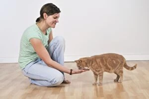 Cat - owner offering cat a treat in hand