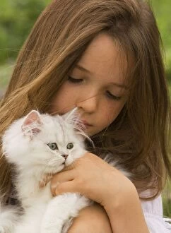 Cat - Persian Chinchilla being cuddled by young girl