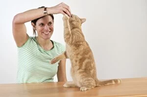 Cat - playing with owner