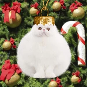 Cat - White persian Christmas Bauble Digital Manipulation