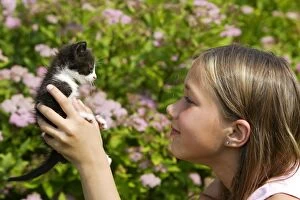 Cat - young black & white kitten being held by girl