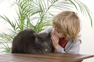 Images Dated 21st November 2010: Cat - young boy whispering in grey cat's ear