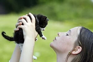 Cat - young kitten being held by girl