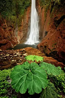 Costa Prints: Catarata Del Toro Waterfall, in the mountains of Bajos del Toro Amarillo