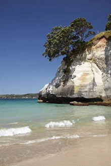 Images Dated 18th November 2010: Cathedral Cove, Coromandel Peninsula, North