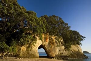 Cathedral Cove - tree-clad cliff with a natural rock arch seen from beach at Cathedral Cove
