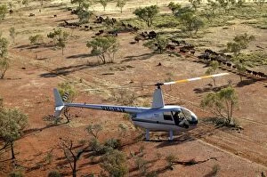 Images Dated 14th September 2004: Cattle mustering with helicopter - aerial photograph.In