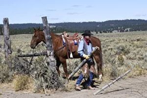 Images Dated 30th August 2005: Cattleman with Quarter / Paint Horse - putting up fence