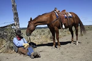 Images Dated 30th August 2005: Cattleman with Quarter / Paint Horse - resting